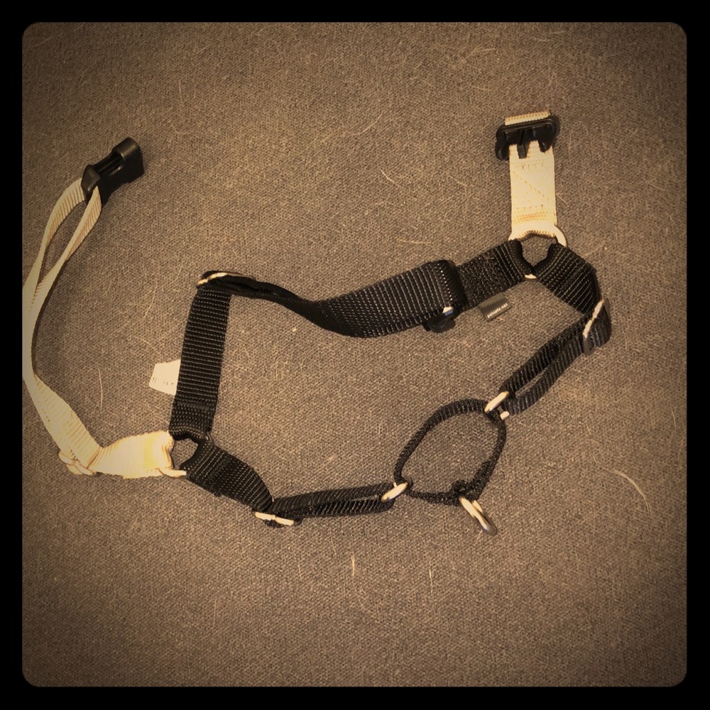 Easy walk dog harness
